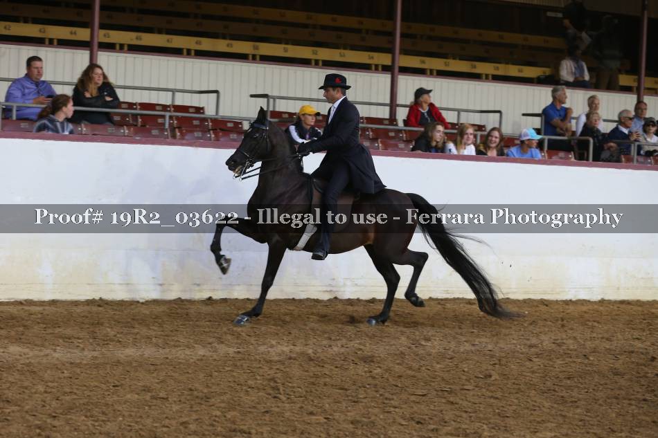 Proof 19R2_03622