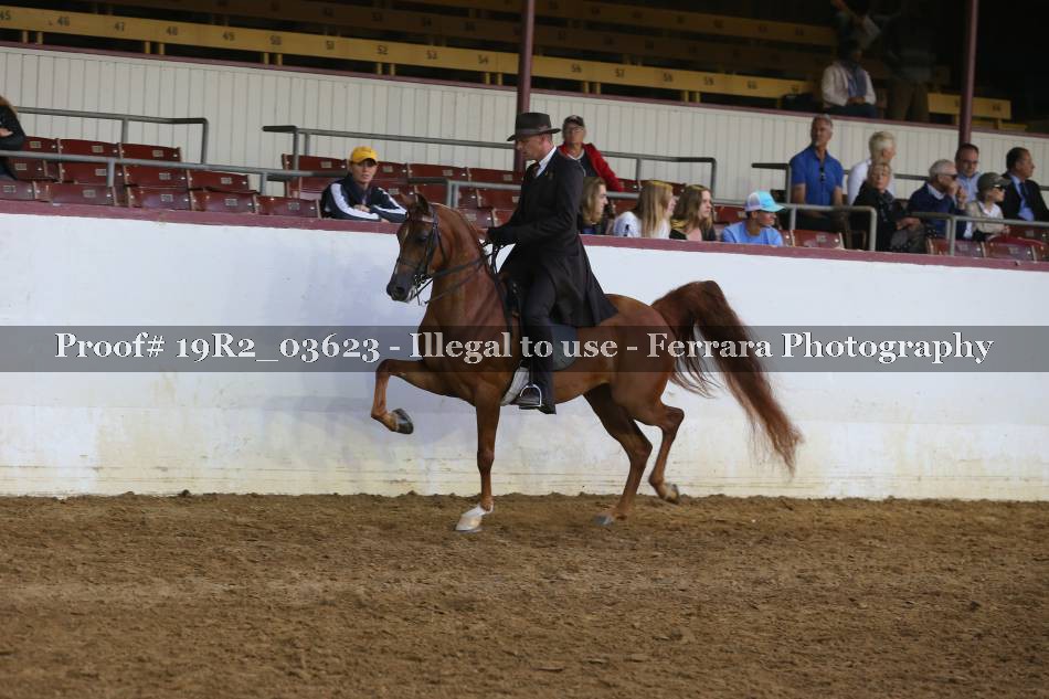 Proof 19R2_03623