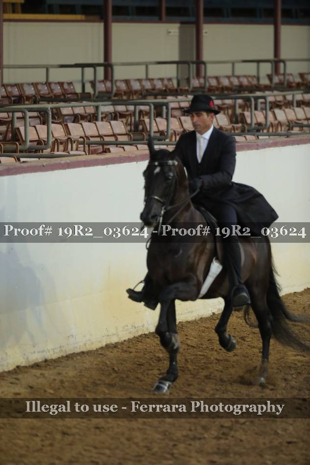 Proof 19R2_03624