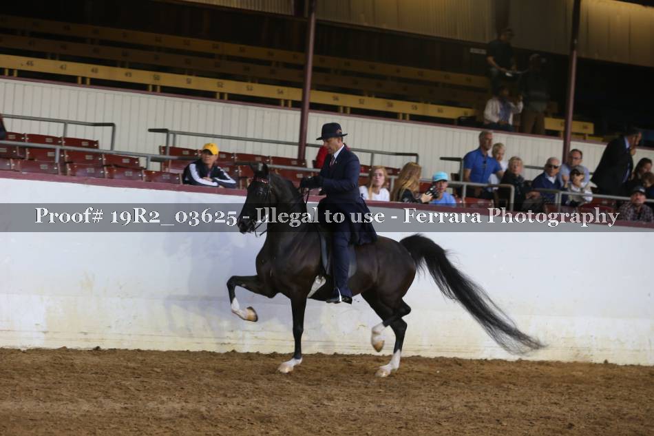 Proof 19R2_03625