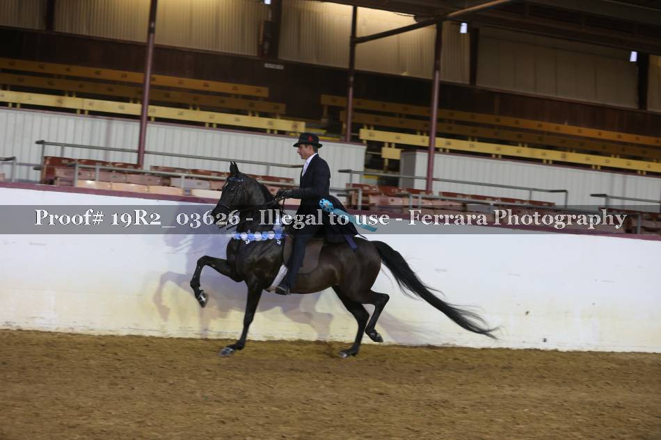 Proof 19R2_03626