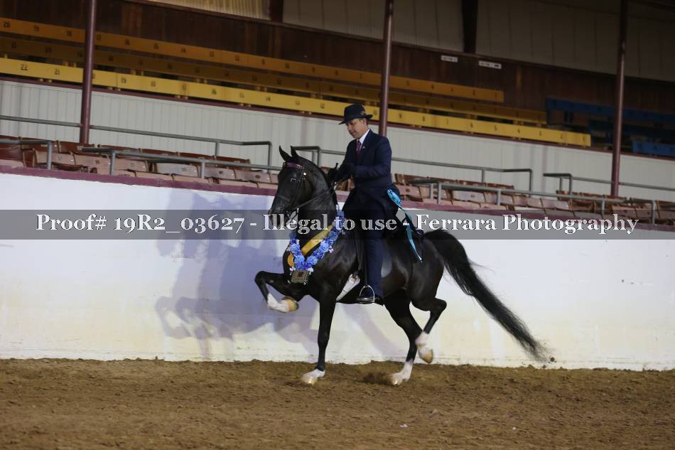 Proof 19R2_03627
