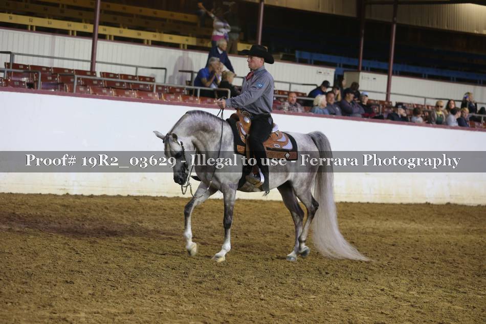 Proof 19R2_03629