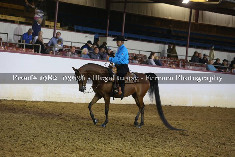 Proof 19R2_03636