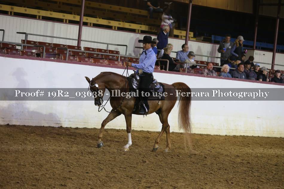 Proof 19R2_03638