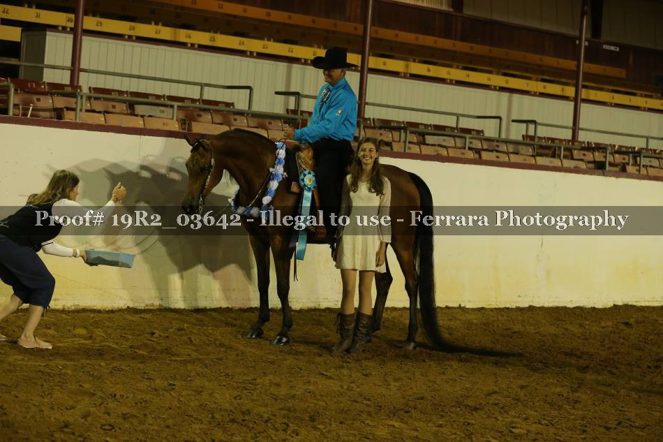 Proof 19R2_03642