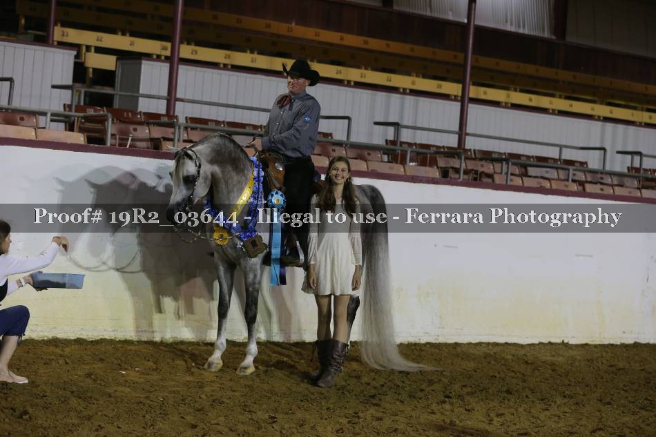 Proof 19R2_03644