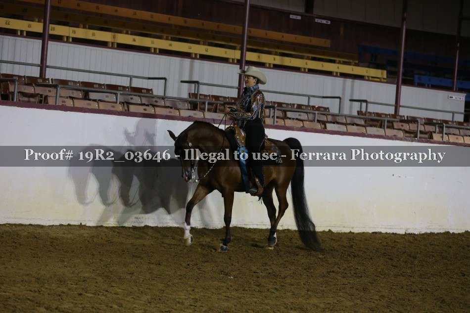 Proof 19R2_03646