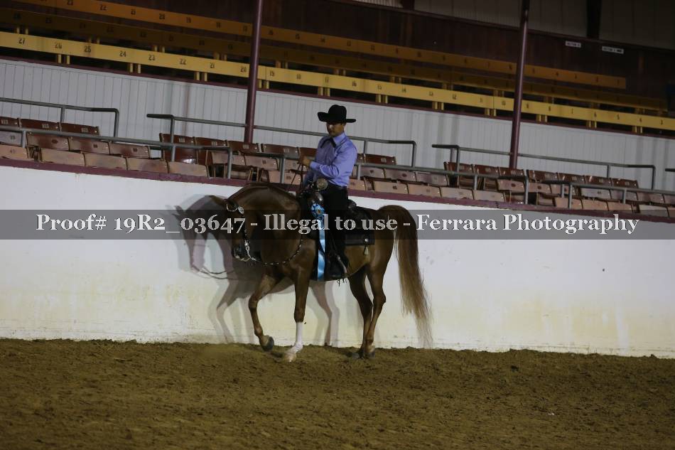 Proof 19R2_03647