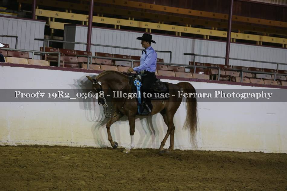 Proof 19R2_03648
