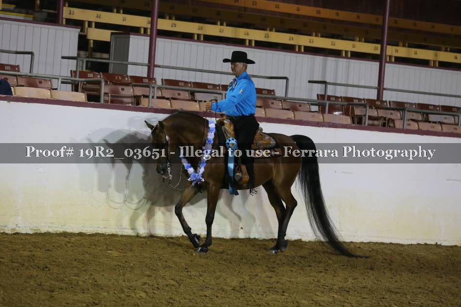 Proof 19R2_03651