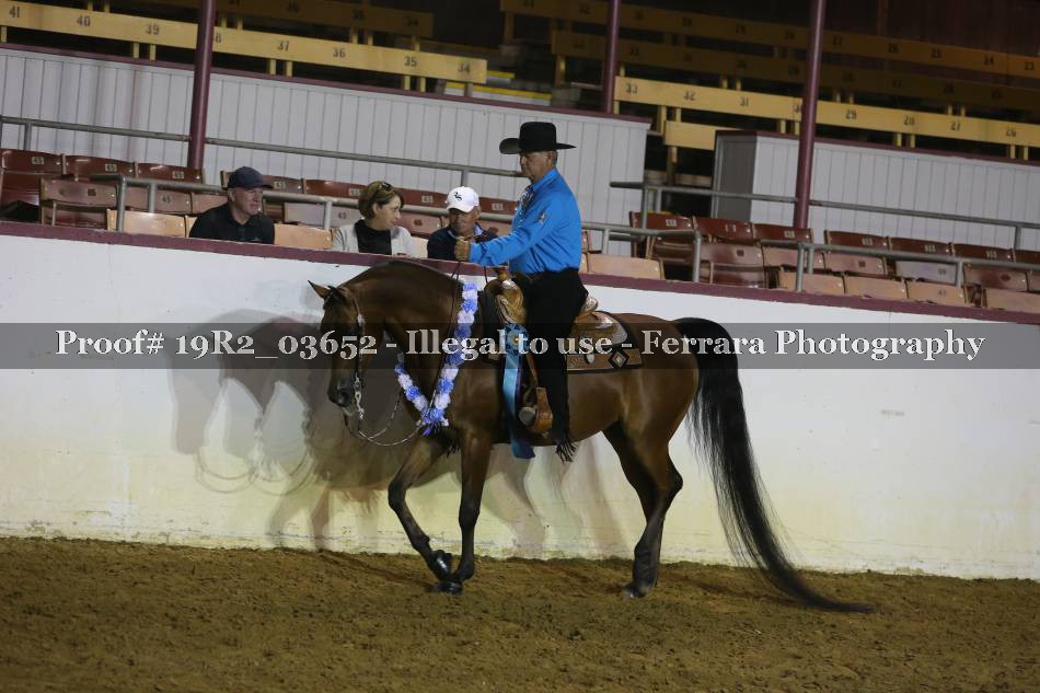 Proof 19R2_03652