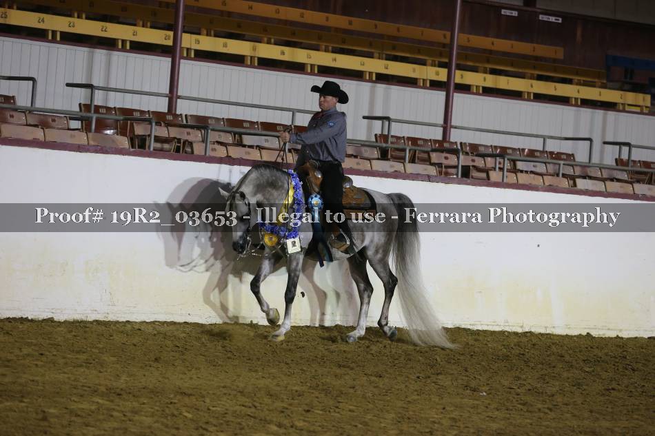 Proof 19R2_03653