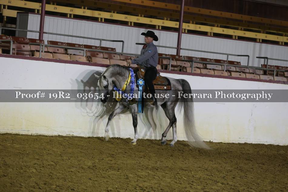 Proof 19R2_03654