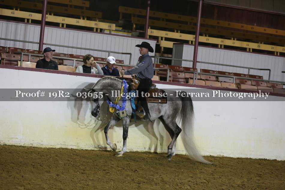 Proof 19R2_03655