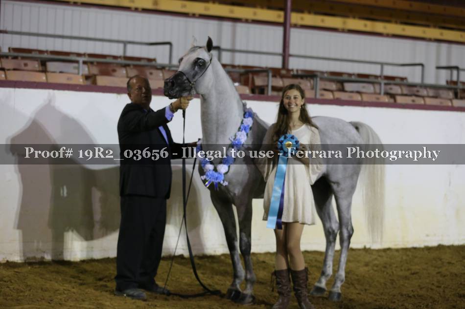 Proof 19R2_03656