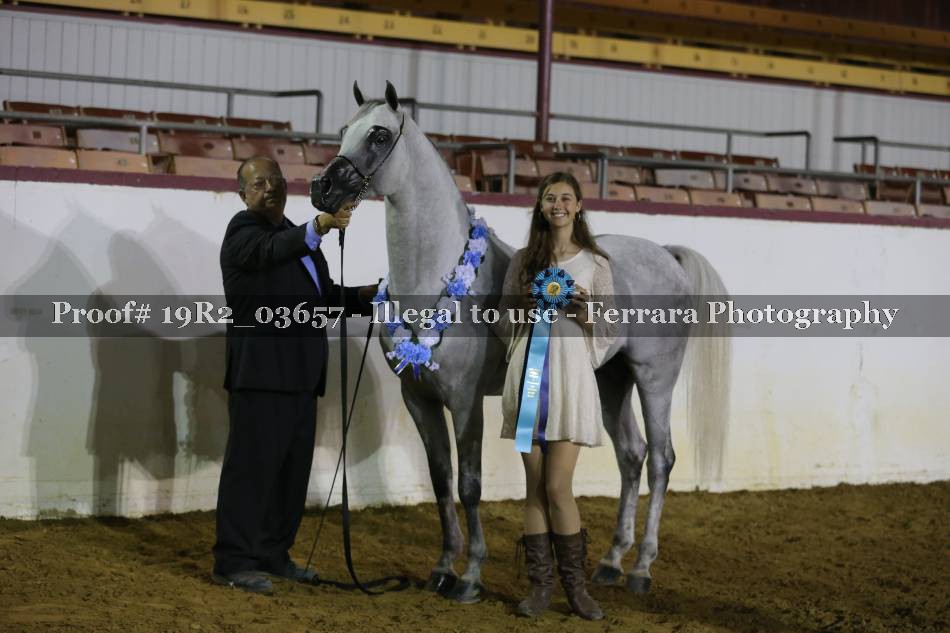 Proof 19R2_03657