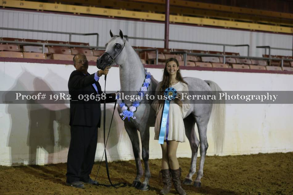 Proof 19R2_03658