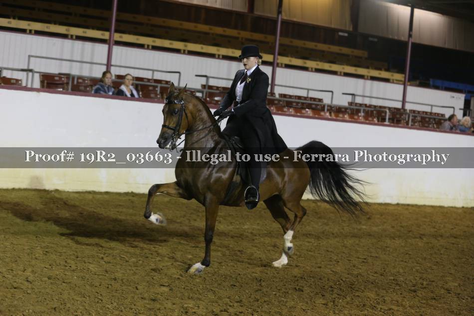 Proof 19R2_03663