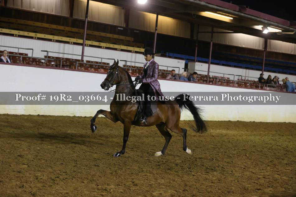 Proof 19R2_03664
