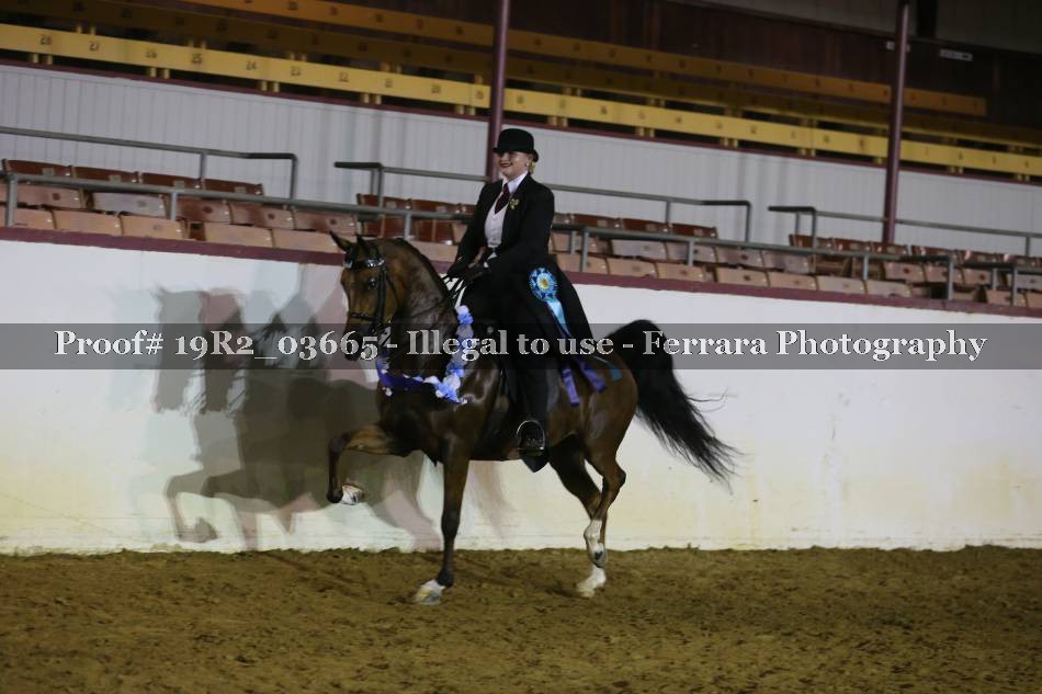 Proof 19R2_03665