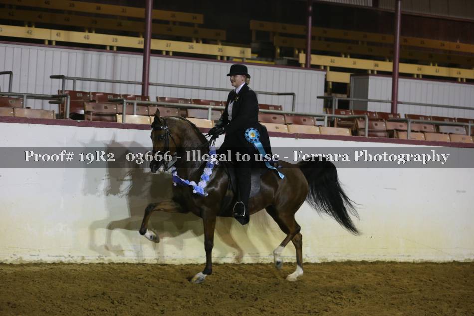 Proof 19R2_03666