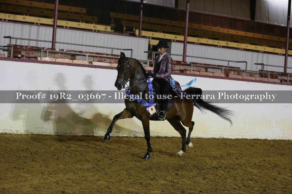 Proof 19R2_03667