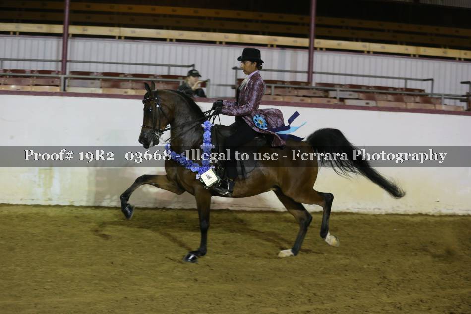 Proof 19R2_03668