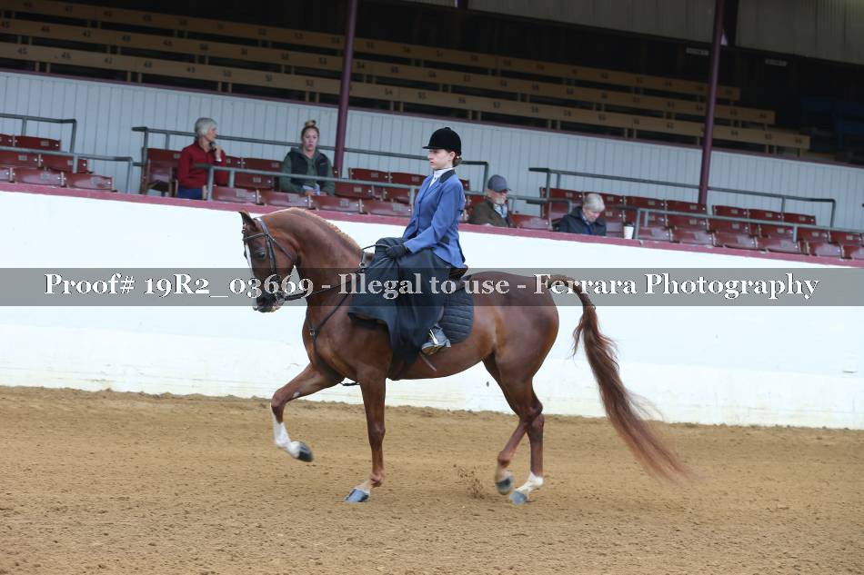 Proof 19R2_03669