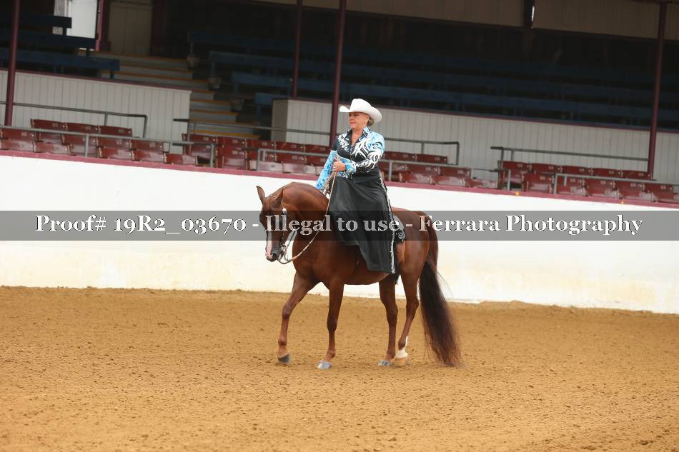 Proof 19R2_03670