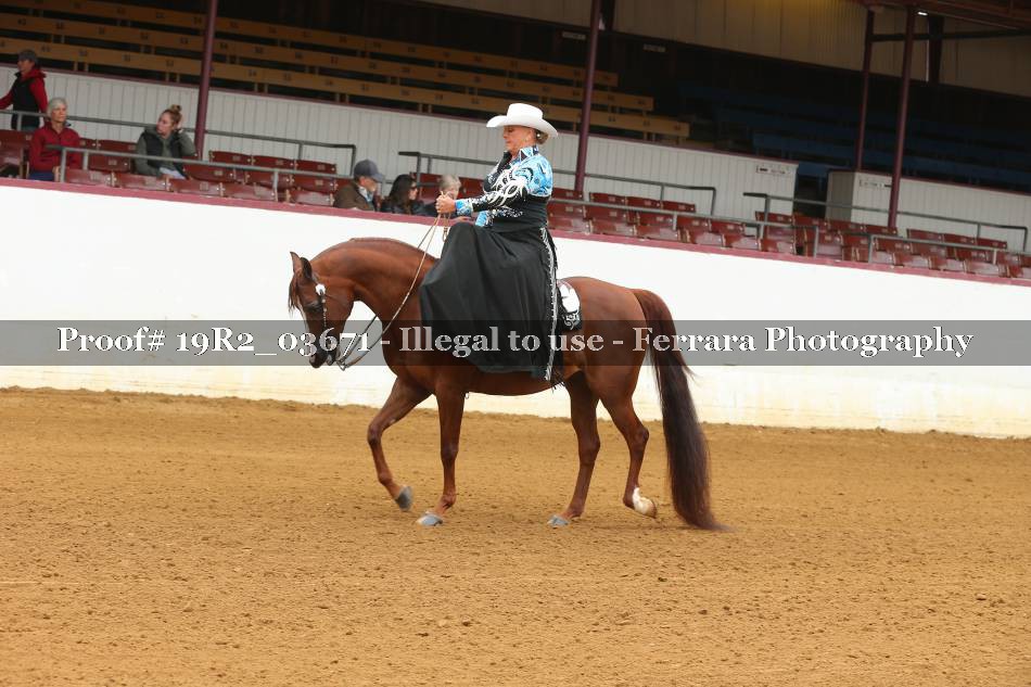Proof 19R2_03671