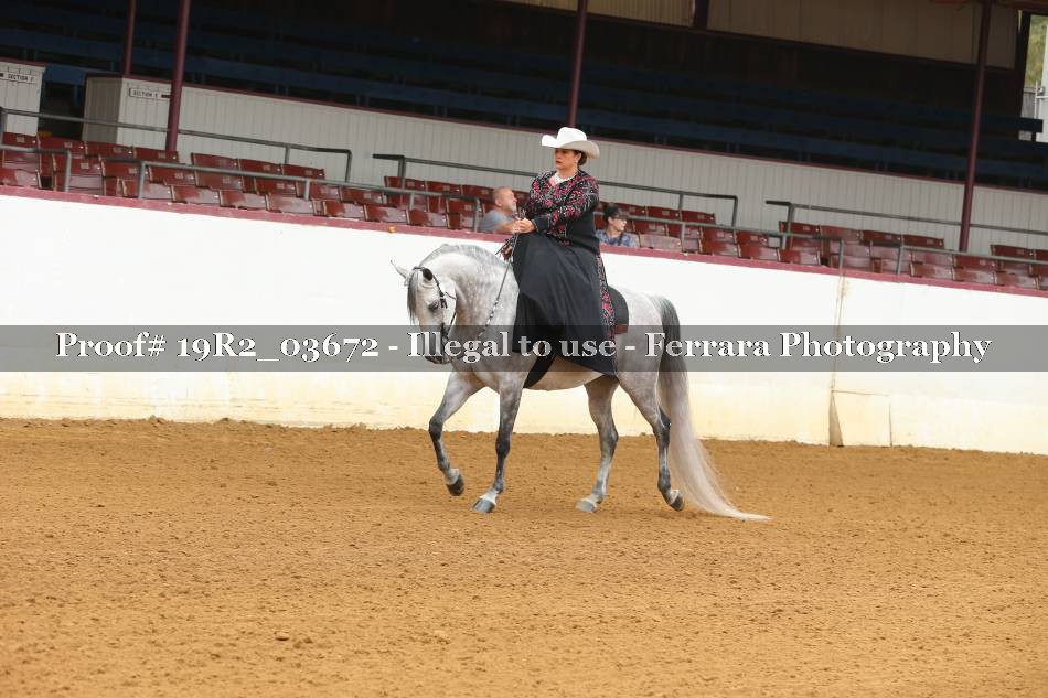 Proof 19R2_03672