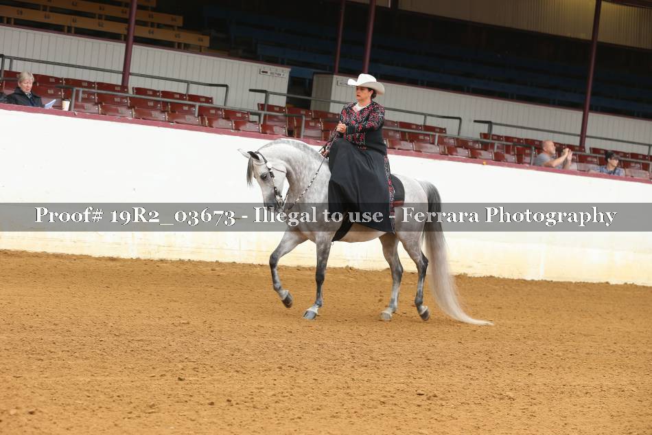 Proof 19R2_03673