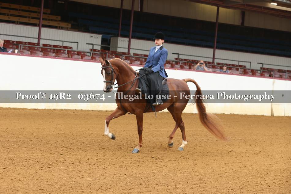 Proof 19R2_03674