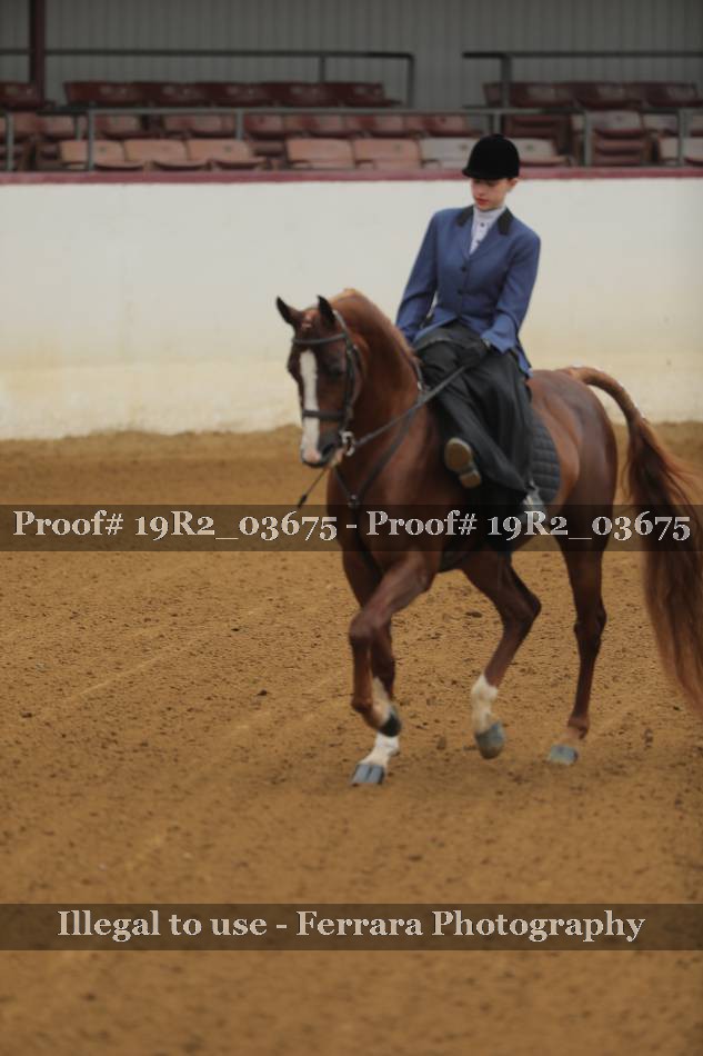 Proof 19R2_03675