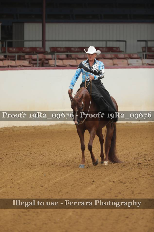 Proof 19R2_03676