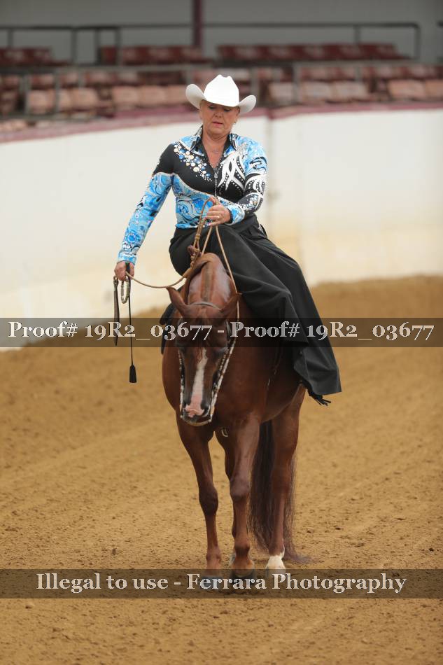 Proof 19R2_03677