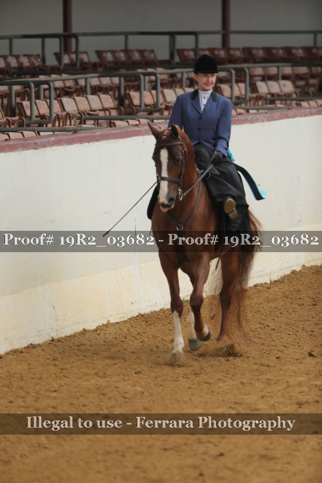 Proof 19R2_03682