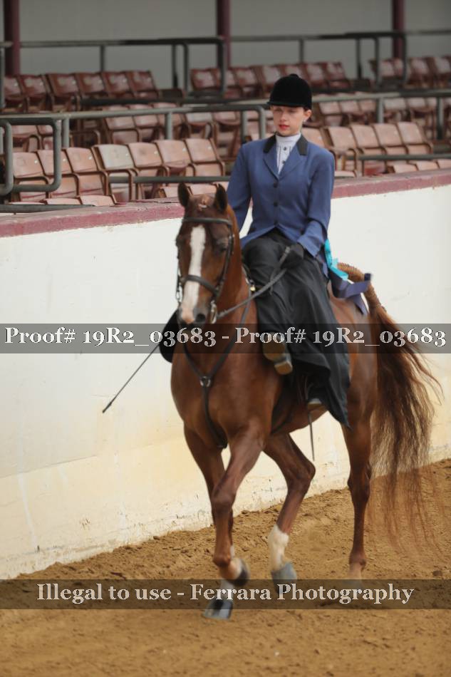 Proof 19R2_03683