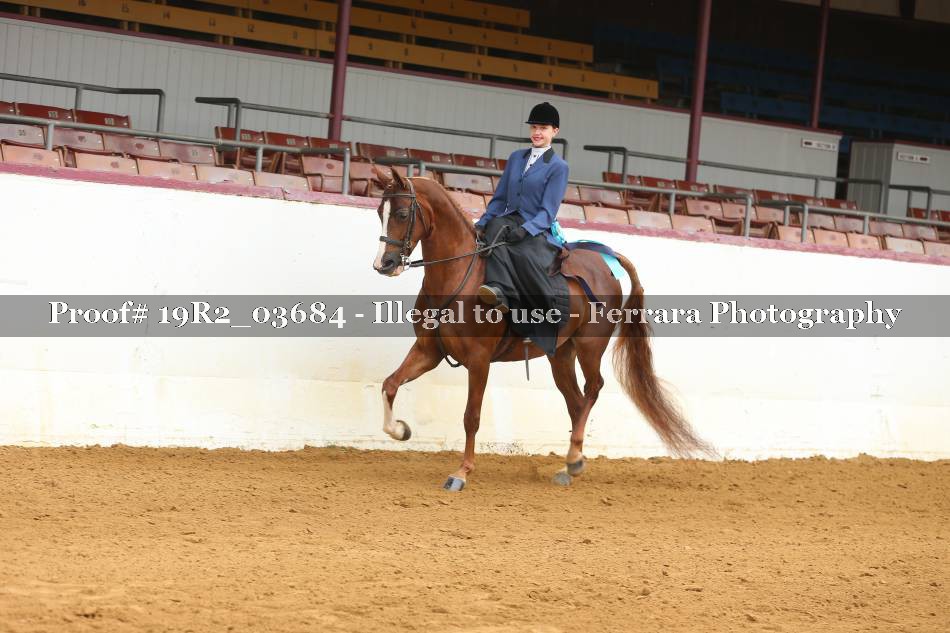 Proof 19R2_03684