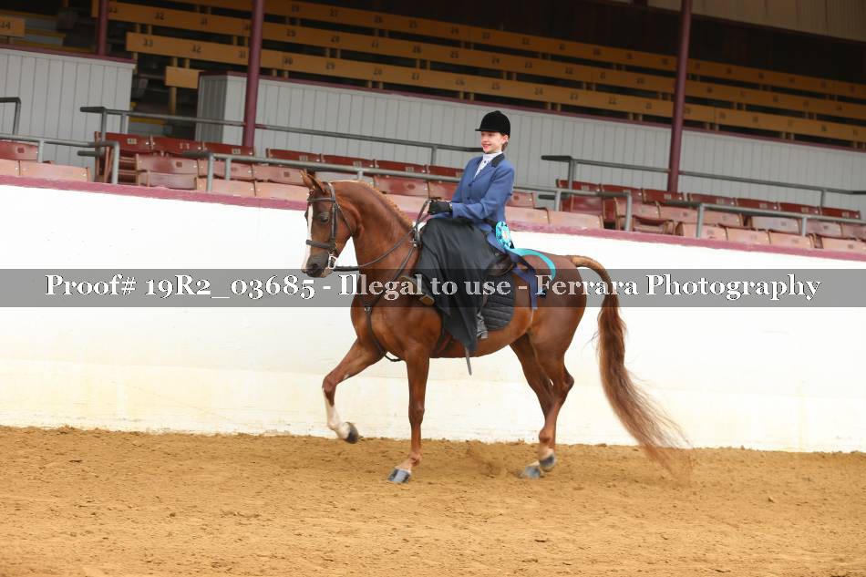 Proof 19R2_03685