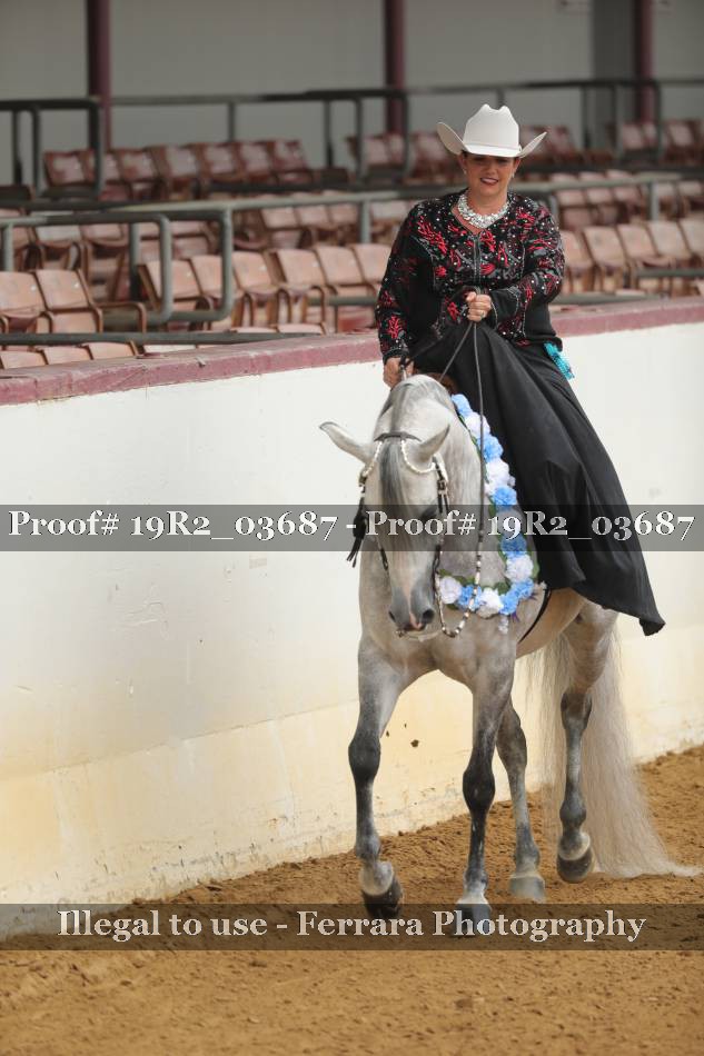 Proof 19R2_03687