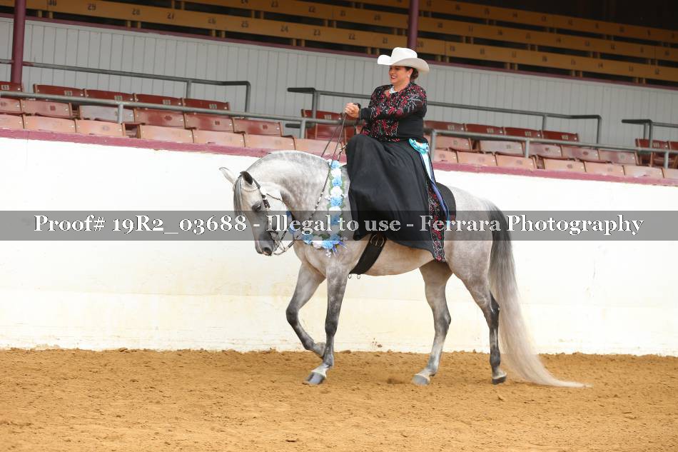 Proof 19R2_03688