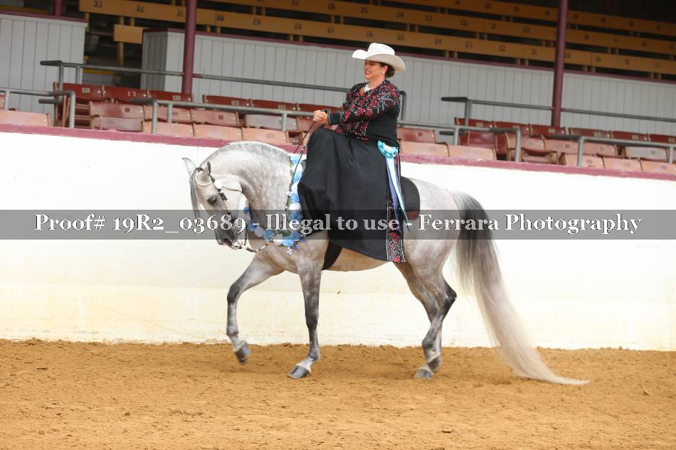 Proof 19R2_03689