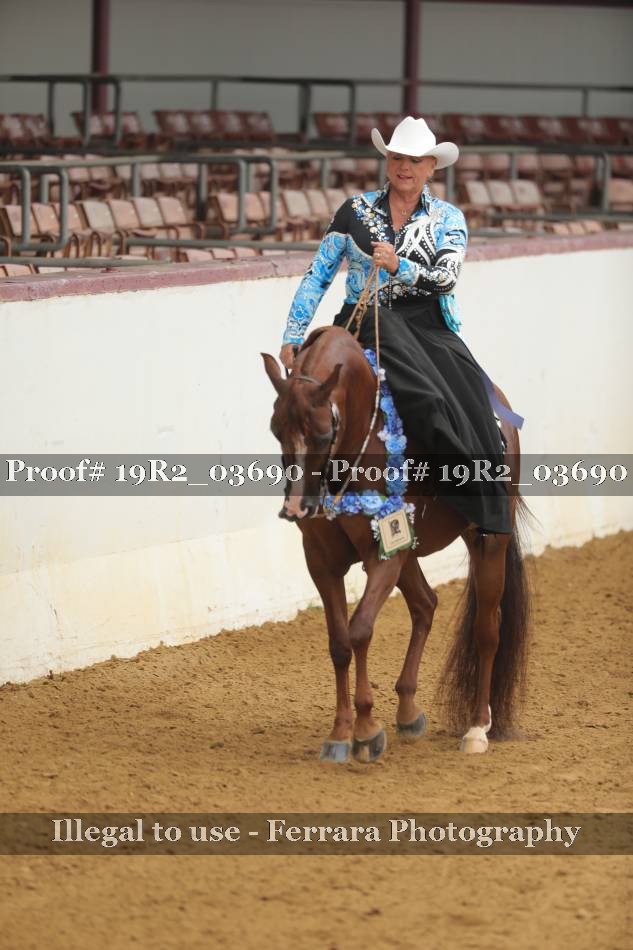Proof 19R2_03690