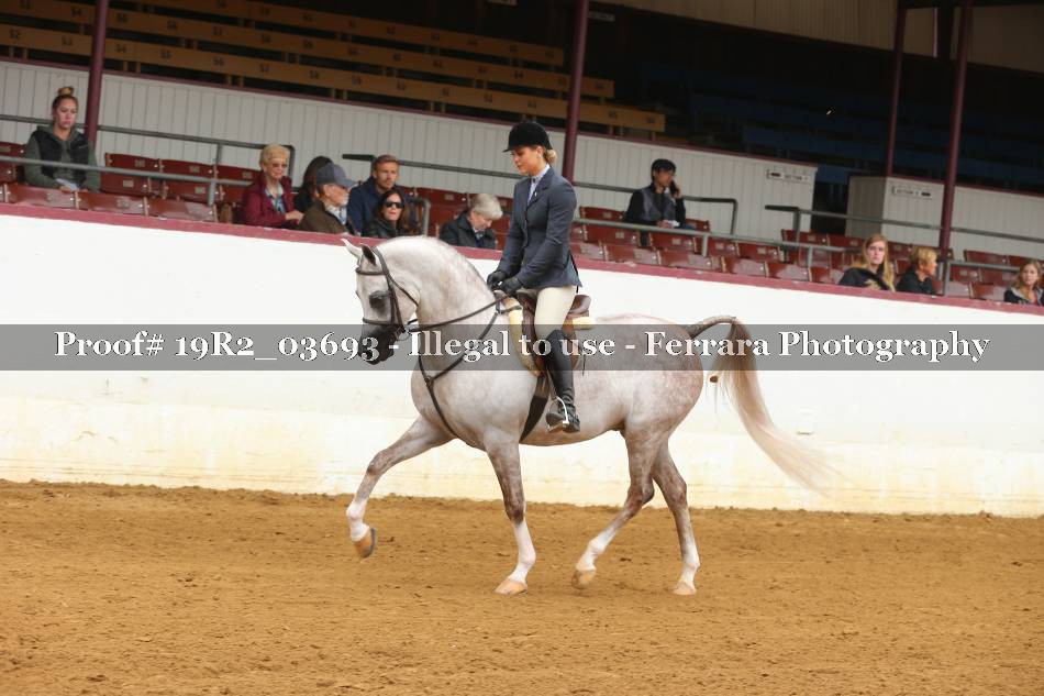 Proof 19R2_03693