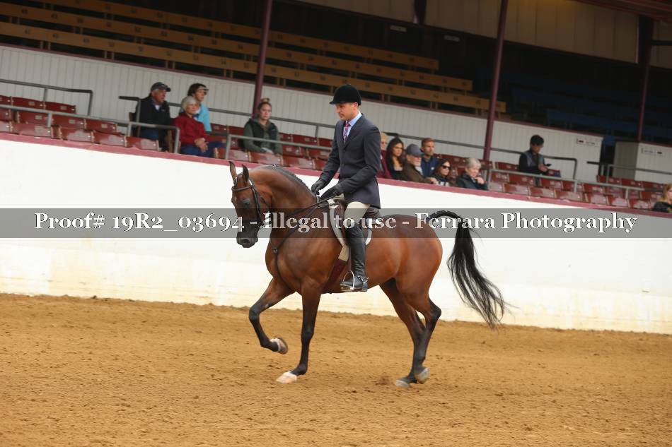 Proof 19R2_03694