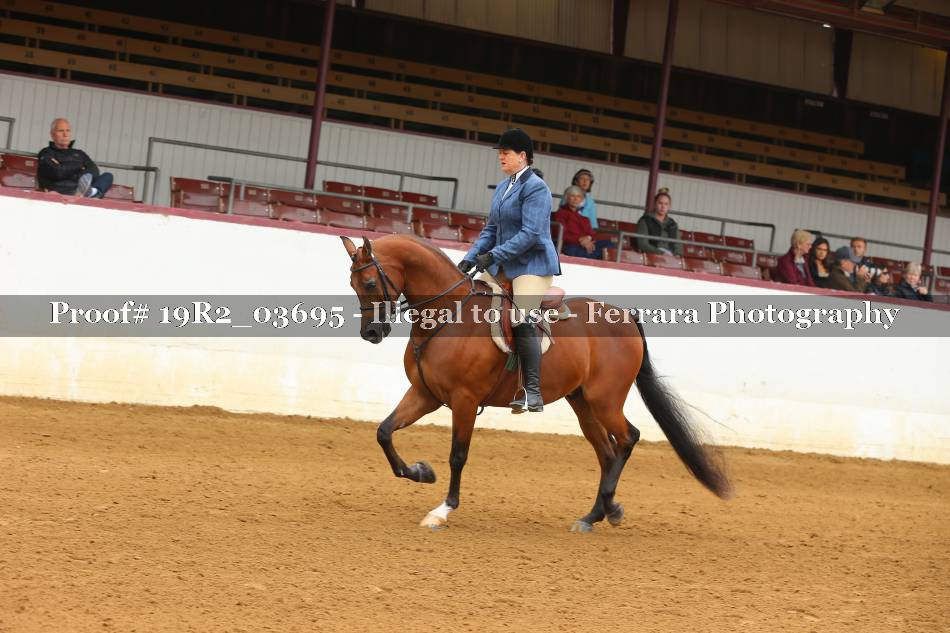 Proof 19R2_03695