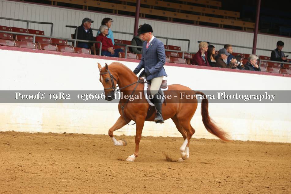 Proof 19R2_03696