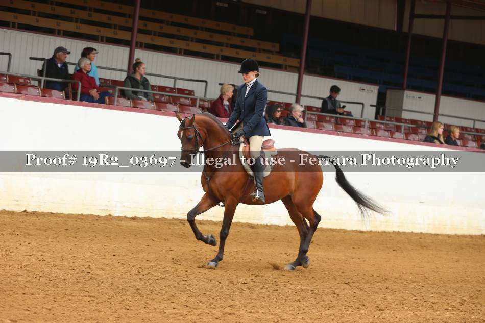 Proof 19R2_03697